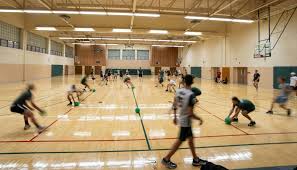 Image result for Enderby Dodgeball Club