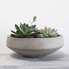 Image result for Newport Indoor Bowls Club