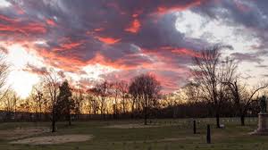 Image result for Hazel Grove