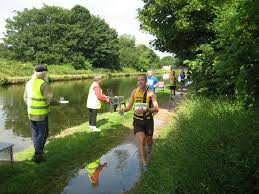 Image result for Shelton Striders