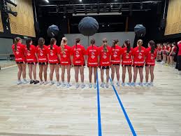 Image result for Tongham Netball Club