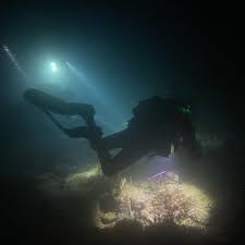 Image result for Scuba Skooling