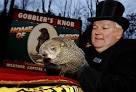 Groundhog Day 2012: D.C. needs local Punxsutawney Phil - The Buzz ...