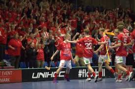 Image result for Basingstoke Demons Floorball Club