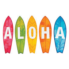 Image result for Aloha Sailboards