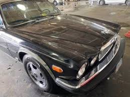 Image result for Cirrus Gray 1983 Jaguar