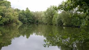 Image result for Vauxhall Angling Club