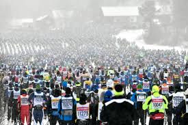 Image result for Scandinavian slope and cross country skiing