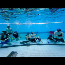 Image result for TAROT Octopush Club