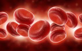 Image result for blood