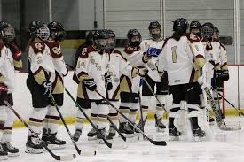 Image result for Carlisle Hockey Club