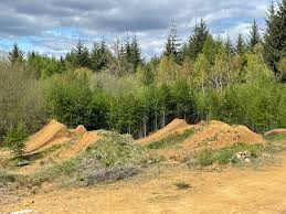 Image result for Islwyn Indoor Bowls Club