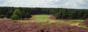 Image result for Hankley Common Golf Club