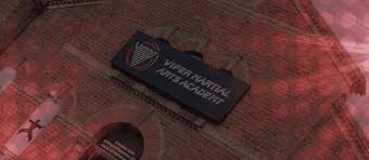 Image result for Vipers Thai/Kickboxing School