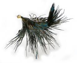 Attēlu rezultāti vaicājumam “Zygaena filipendulae exuvia”