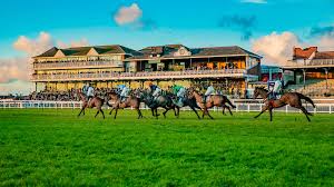 Image result for Ayr Riding Club
