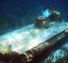 Image result for Seabug Divers