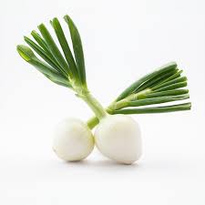 Image result for Zwiebeln