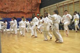Image result for Kenshukai Karate