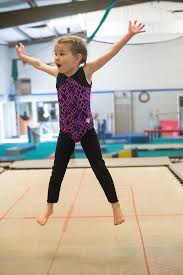 Image result for Sports Acro