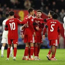 Image result for Caerbryn Association Football Club