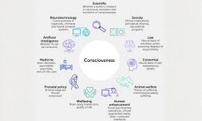 Image result for consciousness