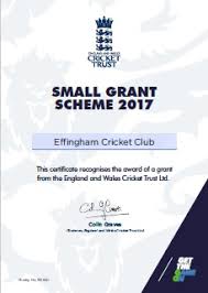 Image result for Effingham Cricket Club