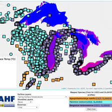 Attēlu rezultāti vaicājumam “Scardia boletella pupa”