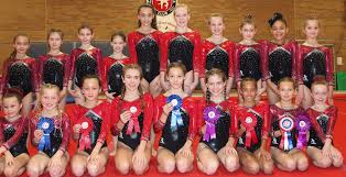 Image result for Loughton Gymnastics Club