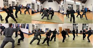 Image result for Bridge Hall Bujinkan Dojo