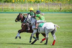 Image result for Cambridge and Newmarket Polo Club