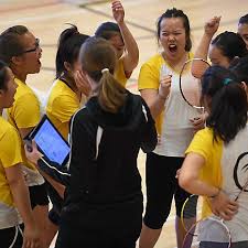 Image result for Pioneers Badminton Club