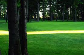 Image result for Burford Golf Club