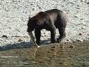 Bute Inlet