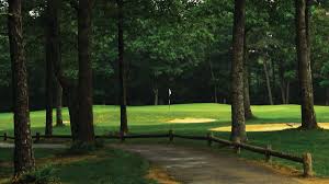 Image result for Falmouth and Helston Octopush Club