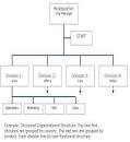 What is a Divisional Organizational Structure?