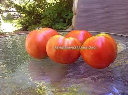 Afbeeldingsresultaat voor kosmonaut volkov 68D tomato