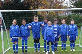 Image result for Epsom & Ewell Football Club