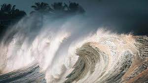 Hasil gambar untuk tsunami jepang