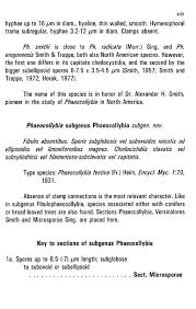 Attēlu rezultāti vaicājumam “Diderma rufostriatum spores”