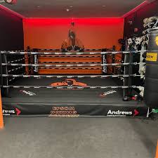 Image result for Epsom & Ewell Amateur Boxing Club