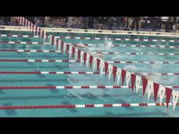 Image result for Ludlow Swimming Club