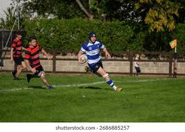 Image result for Lowestoft and Yarmouth Rugby Union Football Club