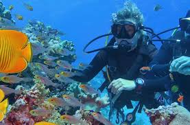 Image result for Reading Bsac