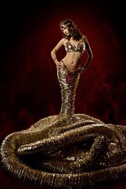 Kuvahaun tulos haulle nagas