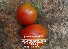 Afbeeldingsresultaat voor anna russian tomato