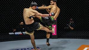 Image result for Jein Muay Thai