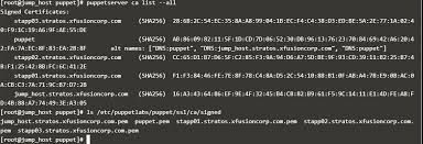 Image result for %82%C4%82%A1%82%F1%82%AD%82%E9