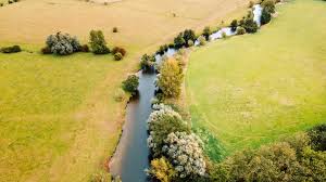 Image result for Essex Stragglers