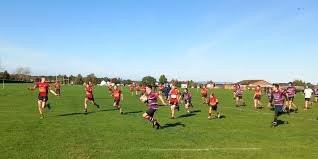 Image result for Dursley Rugby Football Club